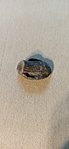 IMG_20210801_142446