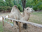 IMG20210828124650