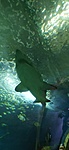 IMG_20210823_134726