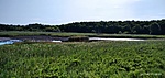 IMG_20210811_095107