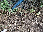 IMG_20210829_182859