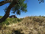 A kopasz hegytetőn egyetlen fa biztosít árnyékot