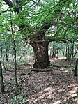 IMG_20210821_164117