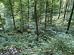 CB501630-3B1D-4904-B185-2B29903B4210