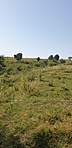 GCDERZ_20210805_111051