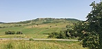 GCDERZ_20210805_111158