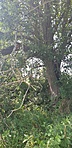 GCDERZ_20210805_111351