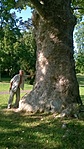 zemplén 094