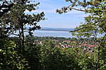 IMG_3084