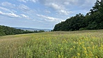 IMG_1145