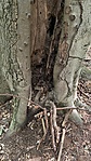 IMG_1152