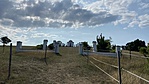 IMG_1154