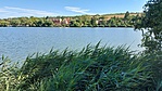 tó