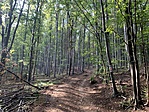 IMG_6199