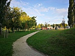 IMG_20210830_071427