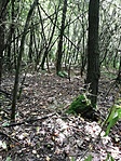 IMG_20210824_113734