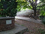 IMG_20210814_072308