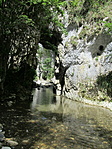 IMG_5573