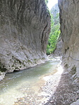 IMG_5586