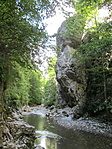 IMG_5616