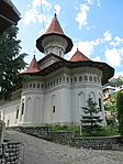 IMG_5618