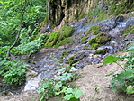 IMG_5519