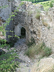 IMG_5361