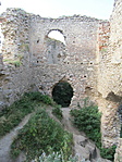 IMG_5362