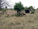 IMG_20210825_105640