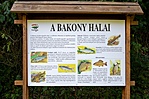 Itt volt - Eplény Kalandhegy
