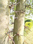 IMG_20210820_165803