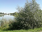 Itt keresd