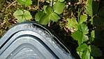 IMG_20210731_124502
