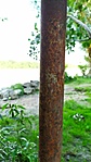 IMG_20210815_172204