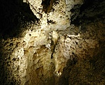 DSCN0029