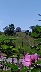 IMG_20210807_103952