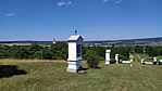 IMG_20210807_105921