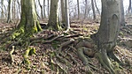 IMG_20210327_135957