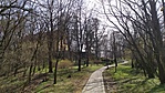 IMG_20210327_115805