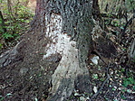 IMG_20210821_190927