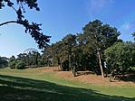 IMG_20210813_095431