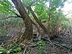 IMG_20210813_140024