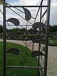 IMG_20210817_103421
