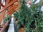 IMG_20210817_104114
