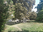 20210815_123724