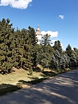 20210819_152929 (1)