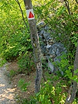 IMG_20210807_102544