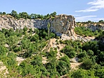 IMG_20210807_101946