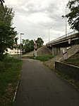 IMG_5788