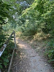 IMG_1316